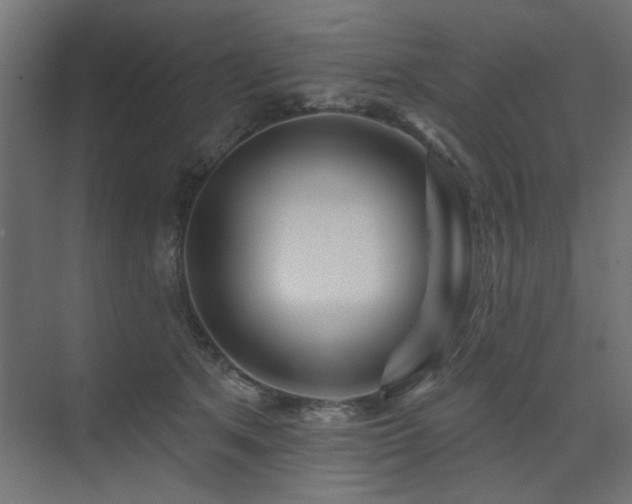 X0000075340513200609081127