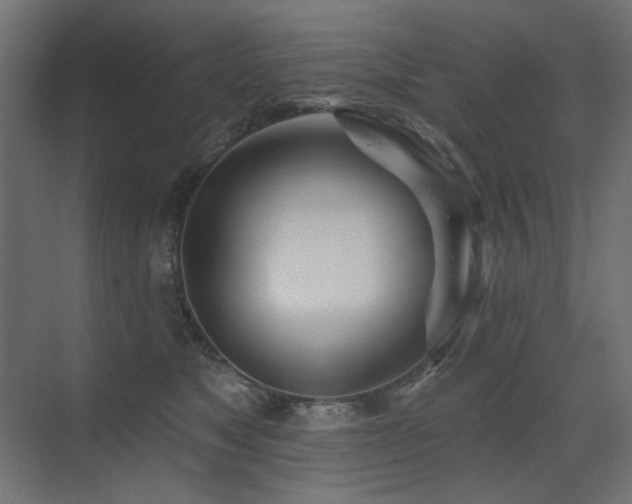 X0000075340517200609081127