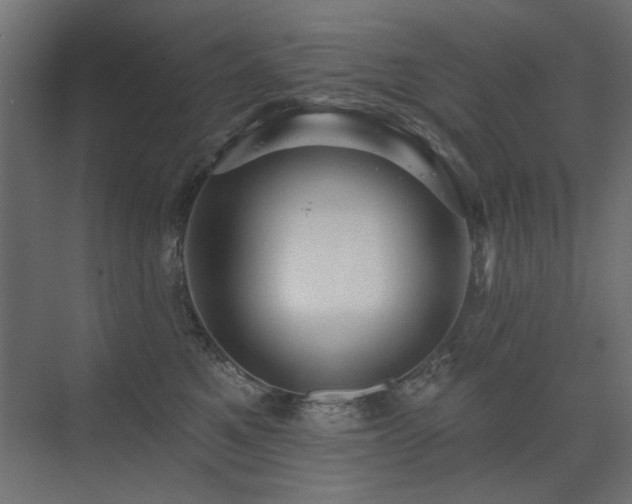X0000075340521200609081127