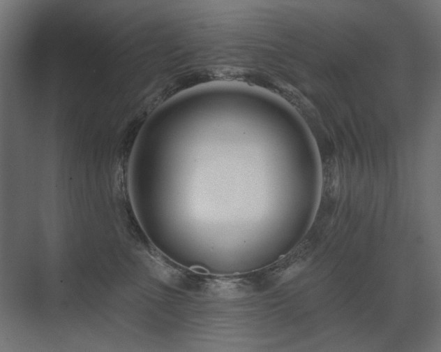 X0000075340523200609081127