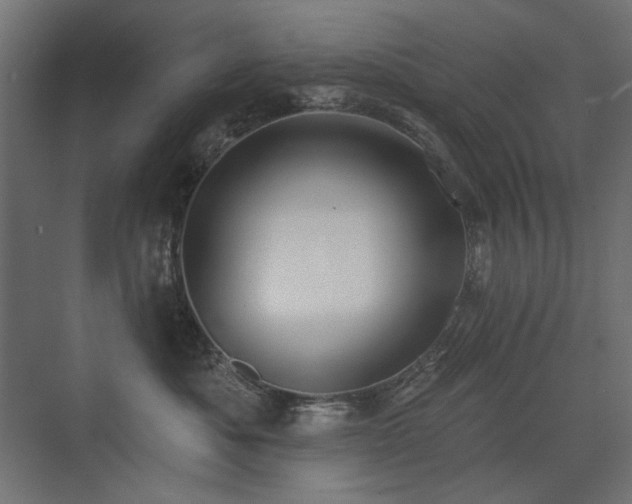 X0000075340525200609081127