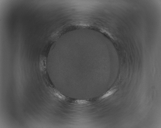 X0000075340528200609081127