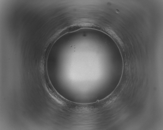 X0000075340533200609081126