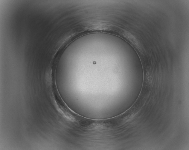 X0000075340534200609081126