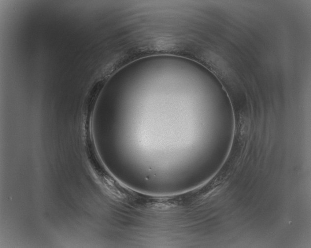 X0000075340542200609081126