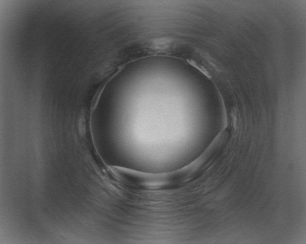 X0000075340562200609081126