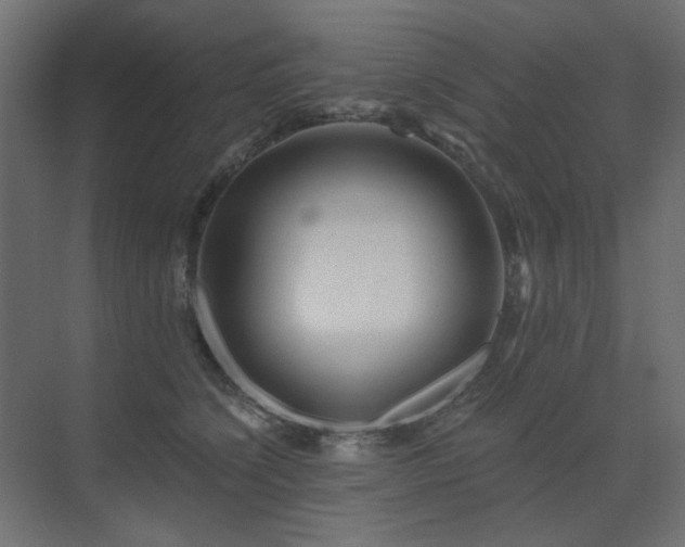 X0000075340564200609081126