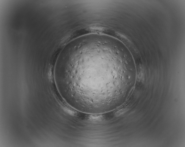 X0000075340573200609081127