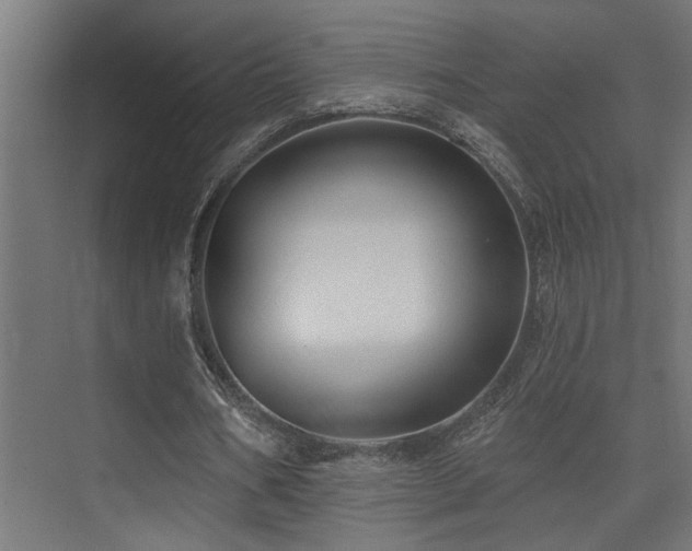 X0000075340578200609081126