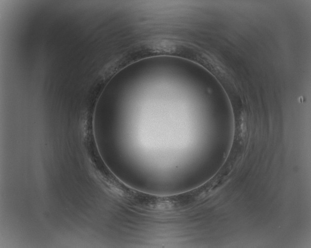 X0000075340600200609081125