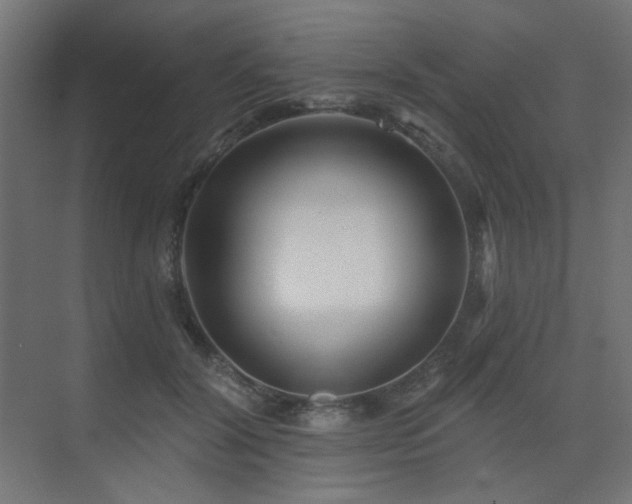 X0000075340604200609081125