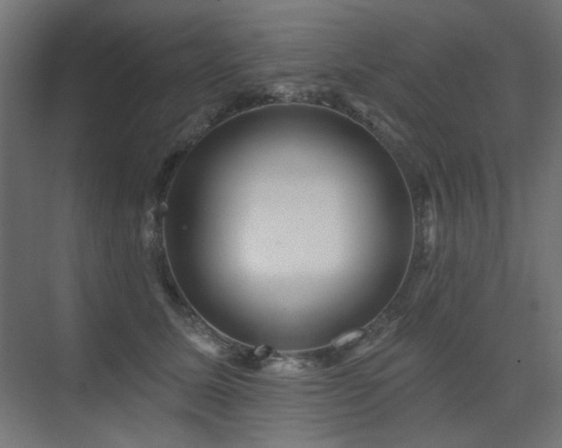 X0000075340611200609081125