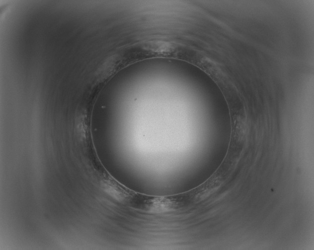 X0000075340612200609081125