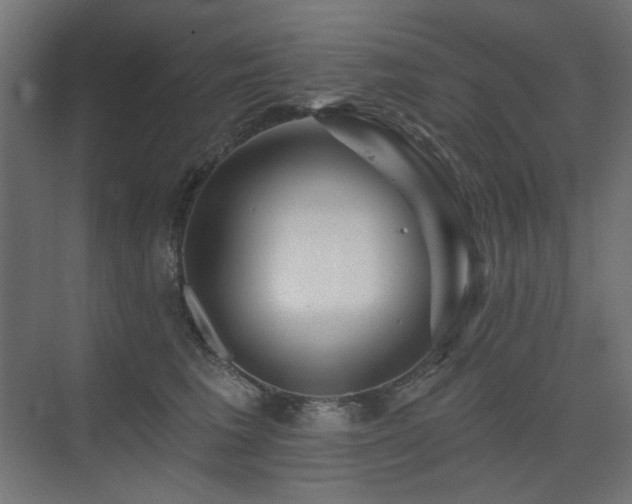 X0000075340613200609081125