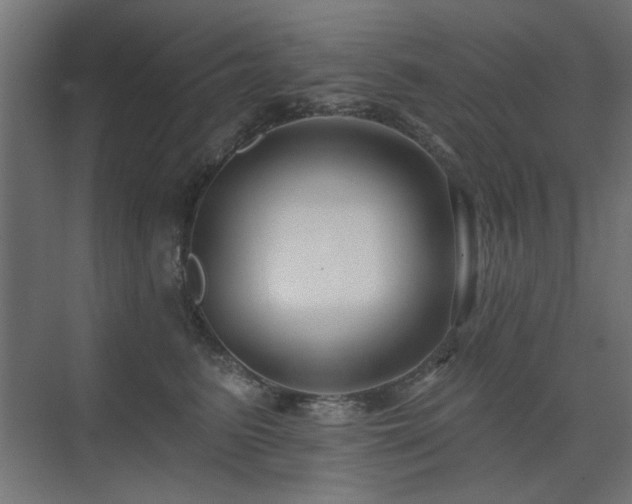 X0000075340615200609081125