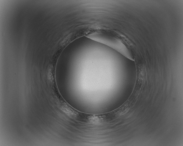 X0000075340616200609081125