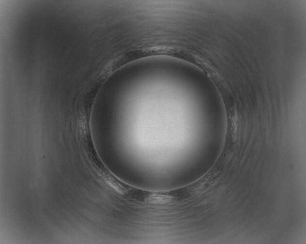 X0000075340617200609081125