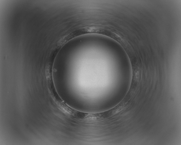 X0000075340620200609081125
