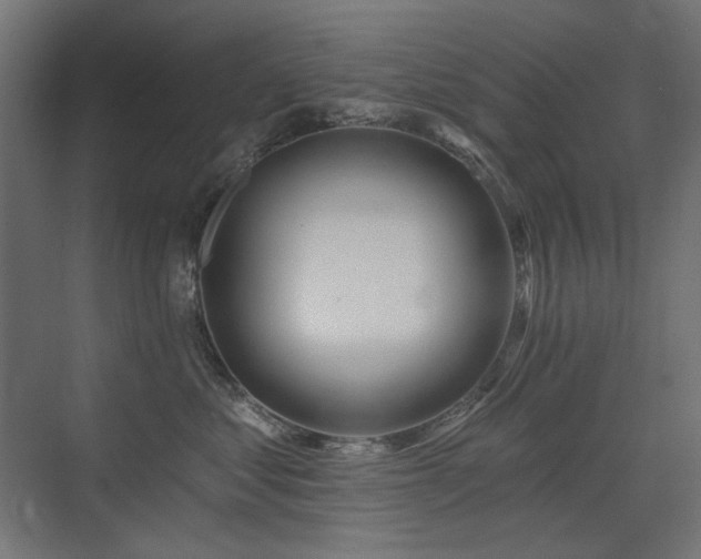 X0000075340621200609081125