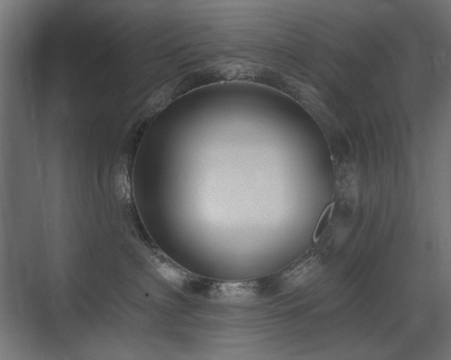 X0000075340622200609081125