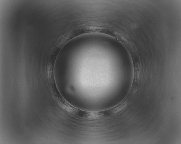 X0000075340623200609081125