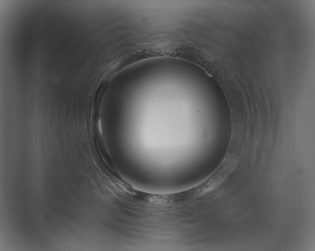 X0000075340624200609081125