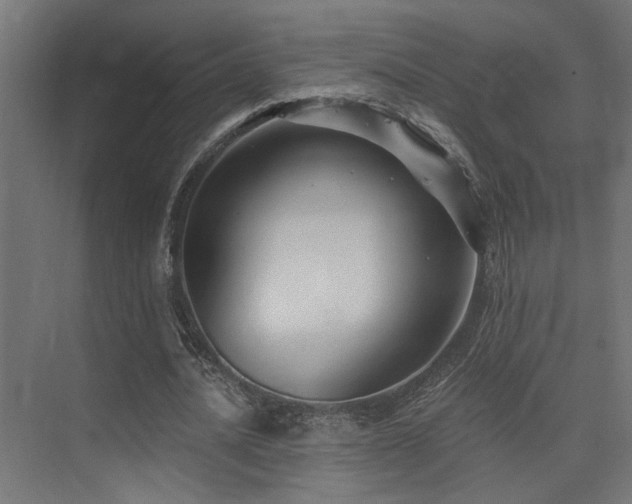 X0000075340628200609081124