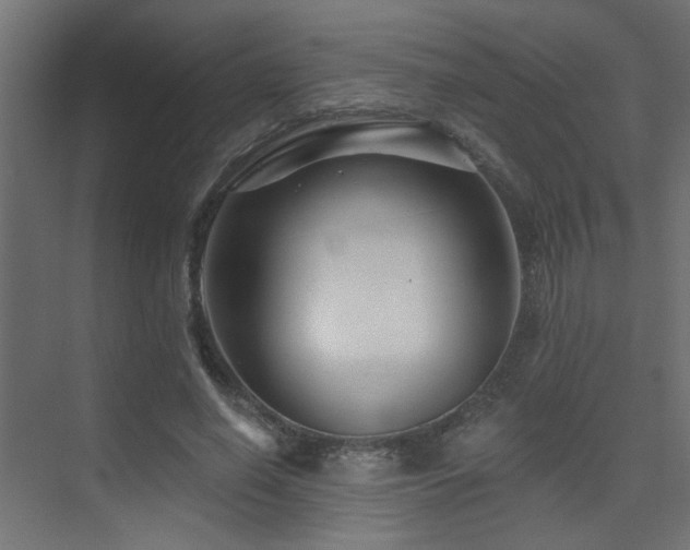 X0000075340638200609081124