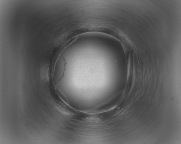 X0000075340644200609081124
