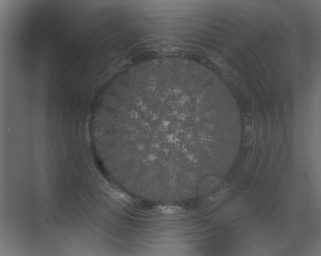 X0000075340654200609081125
