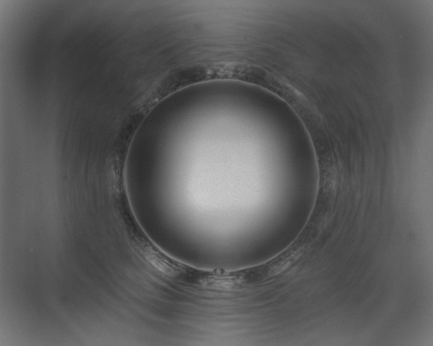X0000075340661200609081125