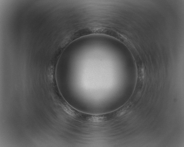 X0000075340664200609081125