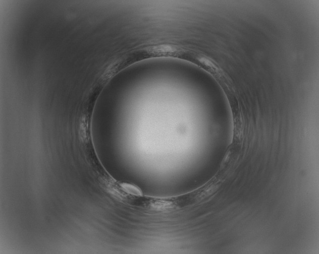 X0000075340669200609081125