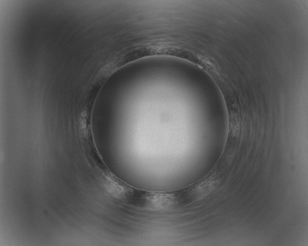 X0000075340670200609081125