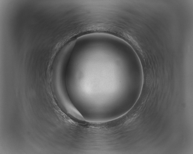 X0000075340673200609081124