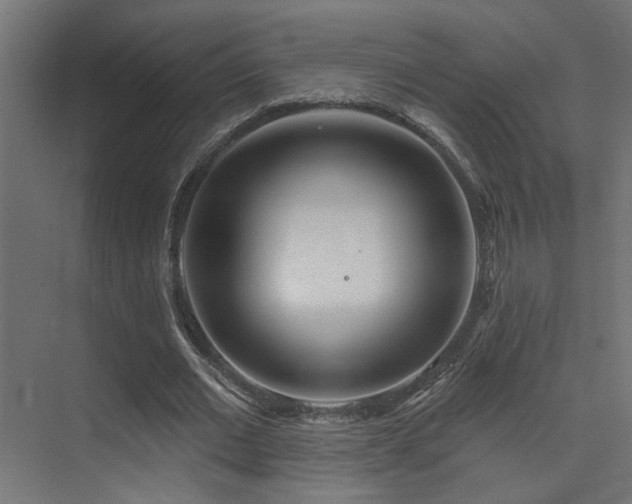 X0000075340677200609081124