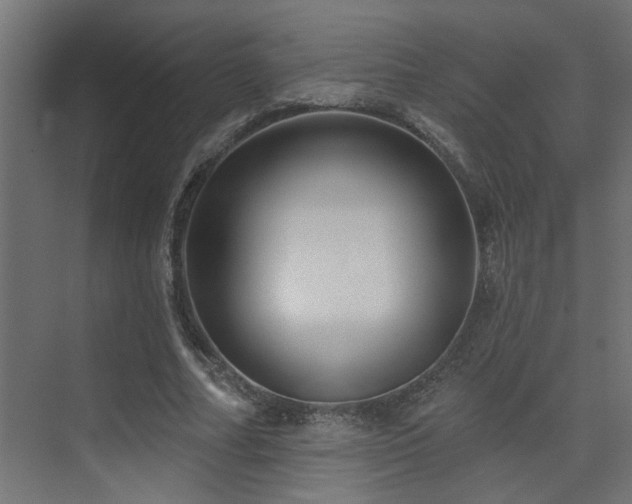 X0000075340682200609081124
