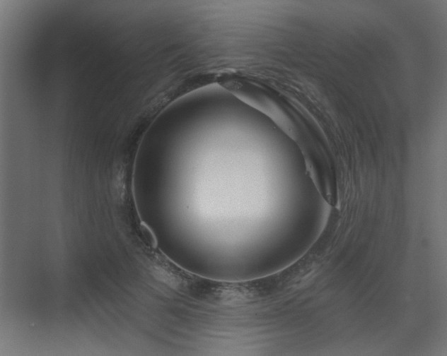 X0000075340697200609081124