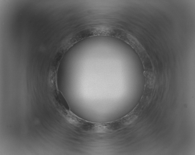 X0000075340701200609081124