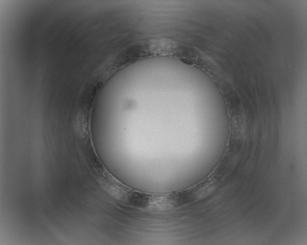 X0000075340705200609081124