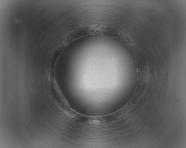 X0000075340706200609081124