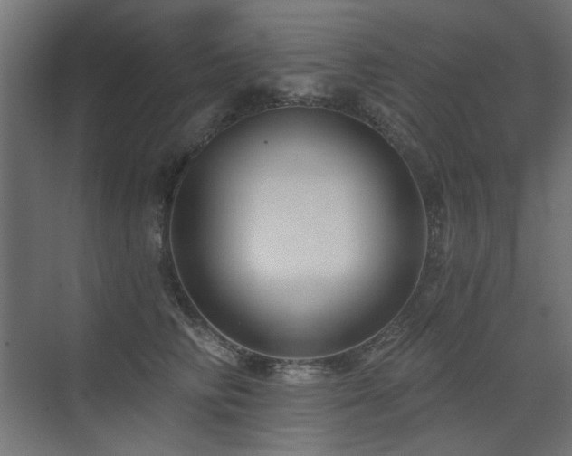 X0000075340710200609081124