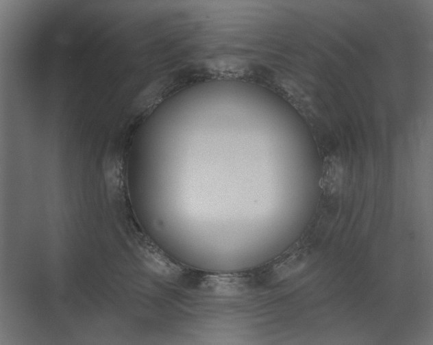 X0000075340713200609081123