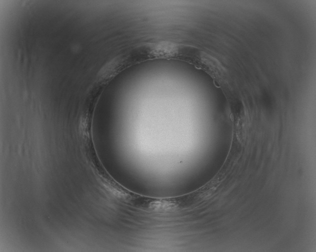 X0000075340714200609081123