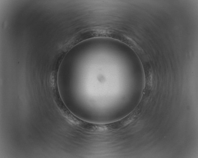 X0000075340715200609081123