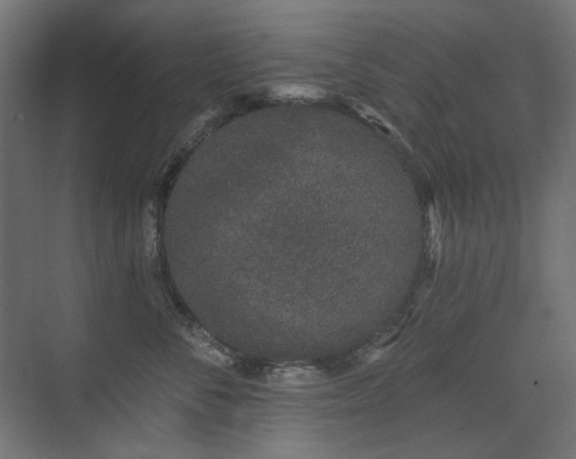 X0000075340716200609081123