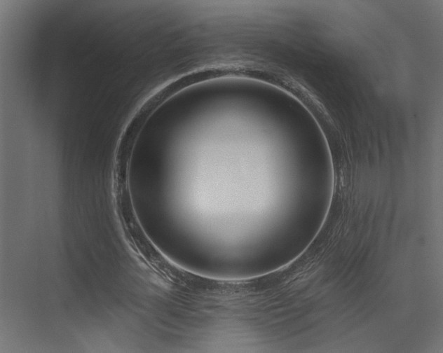 X0000075340724200609081123