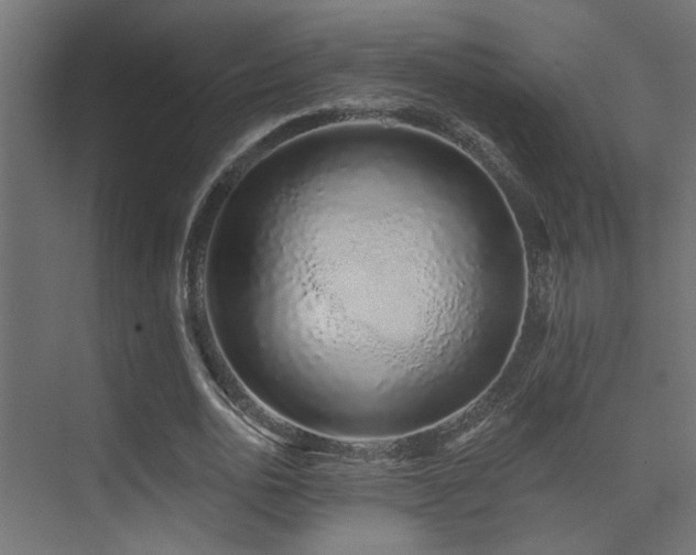 X0000075340726200609081123