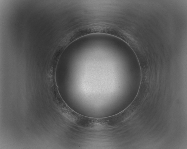 X0000075340737200609081123