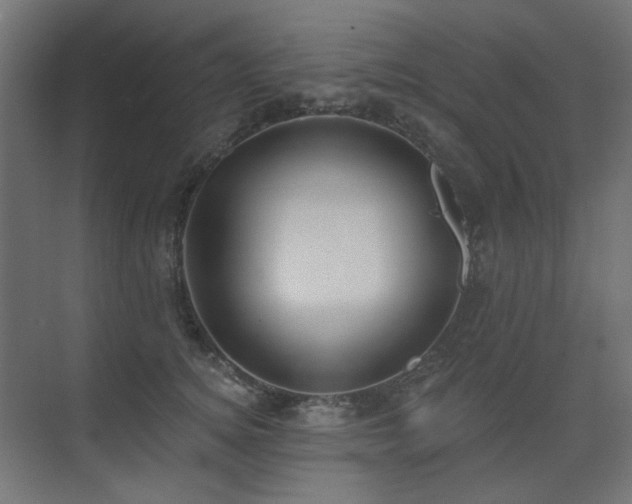 X0000075340756200609081123